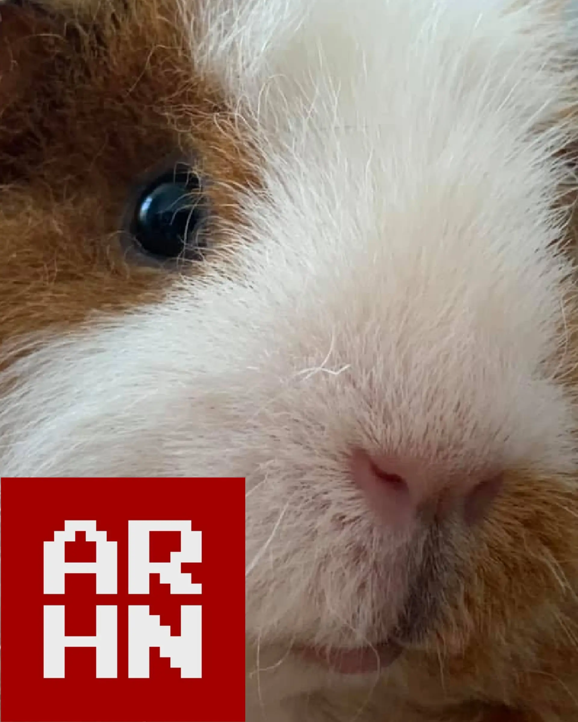 🕹 GOŚĆ SPECJALNY - Arkadiusz "Dark Archon" Kamiński - ᴀʀʜɴ.ᴇᴜ ⭐️